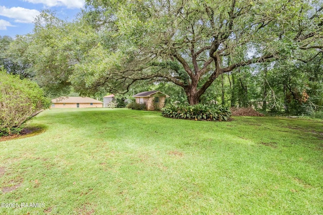 138 Cypress Dr, Opelousas, LA 70570 - view of green lawn
