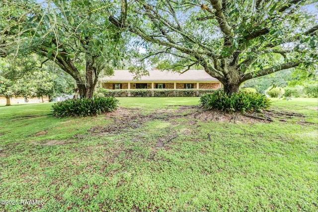 138 Cypress Dr, Opelousas, LA 70570 - view of green lawn