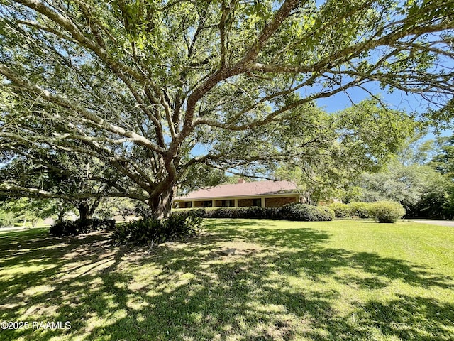 138 Cypress Dr, Opelousas, LA 70570 - view of green lawn