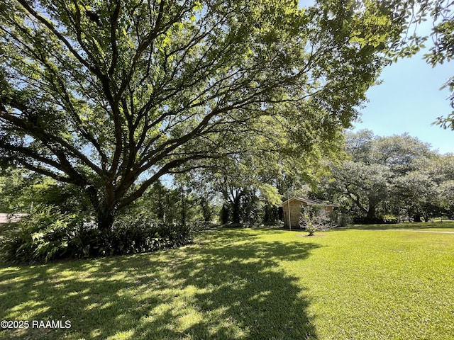 138 Cypress Dr, Opelousas, LA 70570 - view of green lawn with an outdoor structure