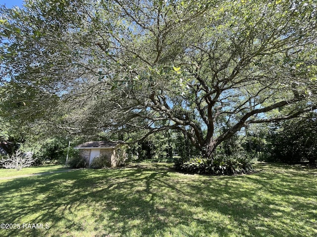 138 Cypress Dr, Opelousas, LA 70570 - view of grassy yard