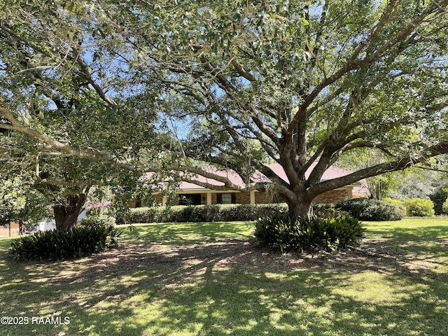 138 Cypress Dr, Opelousas, LA 70570 - view of green lawn