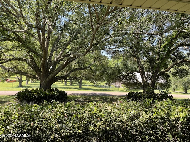 138 Cypress Dr, Opelousas, LA 70570 - view of yard