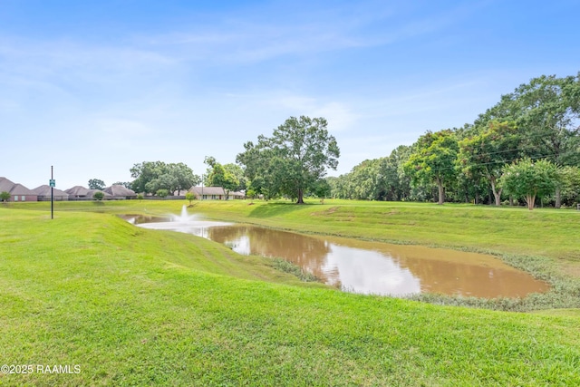 202 Hutton Ln, Youngsville, LA 70592 - photo 25
