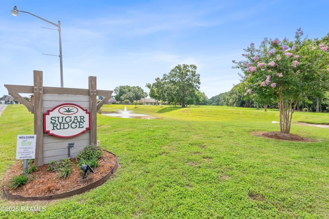 202 Hutton Ln, Youngsville, LA 70592 - photo 26
