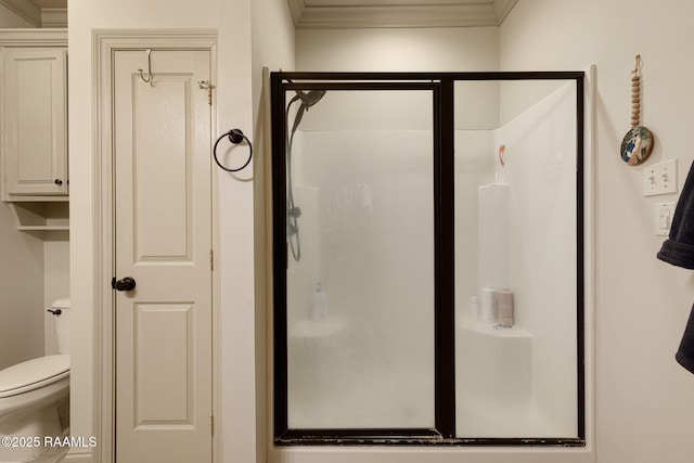 209 E Vincent St, Maurice, LA 70555 - full bathroom featuring ornamental molding, a stall shower, and toilet