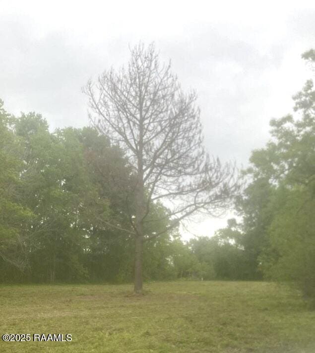 1433 Prairie Ronde Hwy, Opelousas, LA 70570