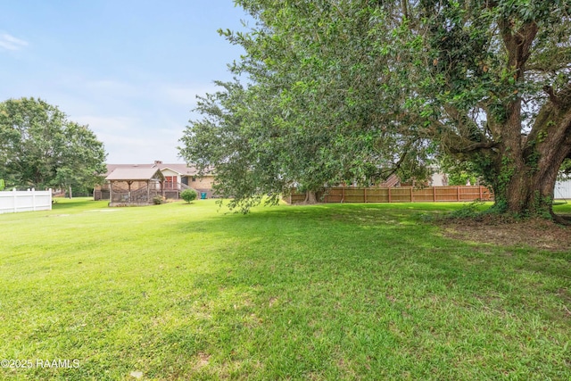 206 N Fernand St, Delcambre, LA 70528 - view of yard