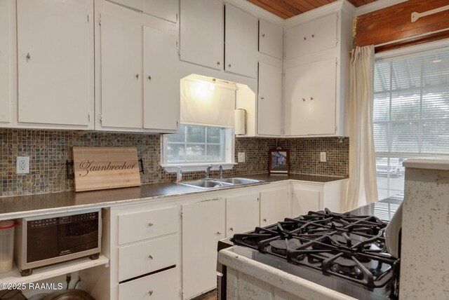 829 Jesse B Rd, Church Point, LA 70525 - photo 19