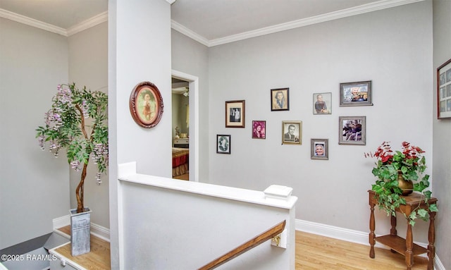 151 Hickory St, Port Barre, LA 70577 - corridor with light wood-style floors, baseboards, and crown molding