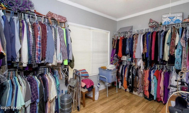 151 Hickory St, Port Barre, LA 70577 - walk in closet featuring wood finished floors