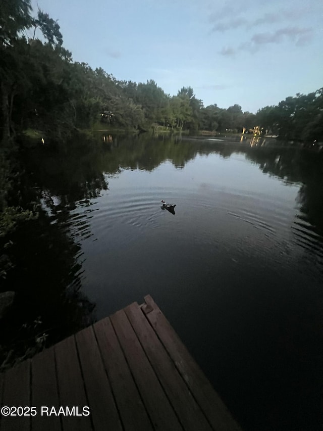 421 Lippi Blvd, Lafayette, LA 70508 - dock with a water view and a forest view