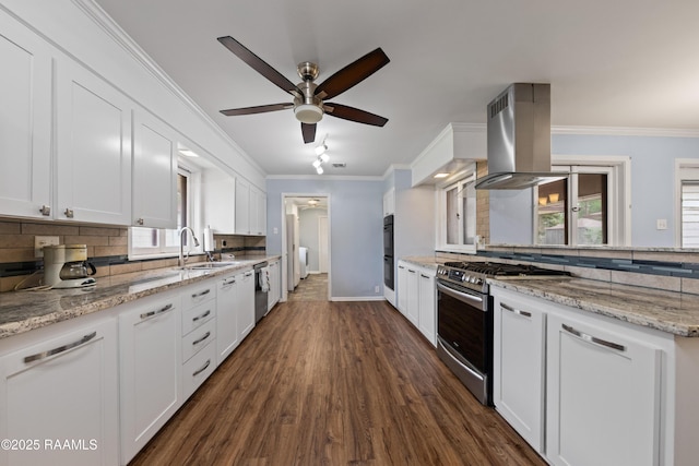 630 W Peach Ave, Eunice, LA 70535 - kitchen featuring appliances with stainless steel finishes, island range hood, a sink, ornamental molding, and decorative backsplash