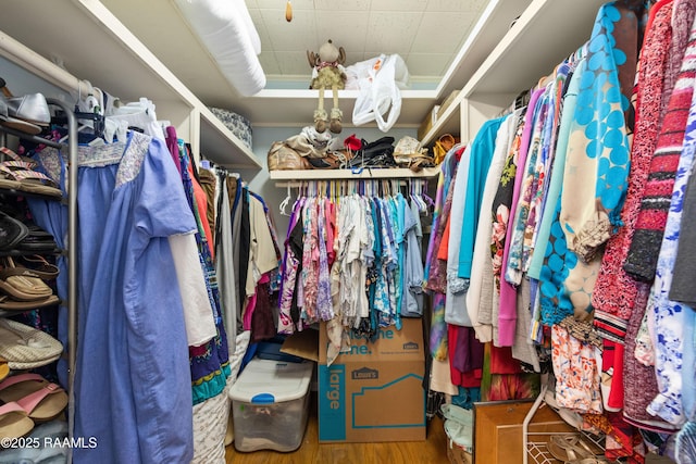 630 W Peach Ave, Eunice, LA 70535 - walk in closet with wood finished floors