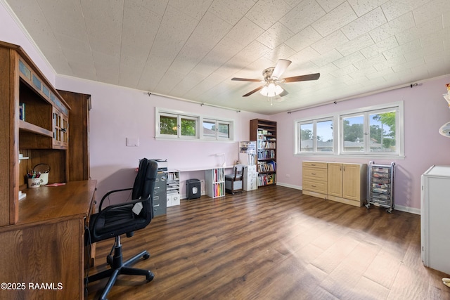 630 W Peach Ave, Eunice, LA 70535 - office area featuring ceiling fan, wood finished floors, and crown molding