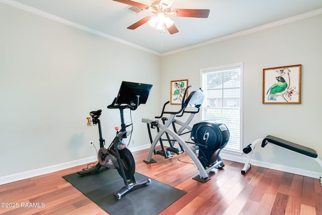 101 Hanover Sq, Lafayette, LA 70508 - exercise area with wood finished floors, a ceiling fan, and crown molding