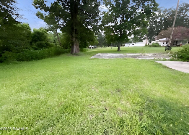 1101 Portage Rd, Arnaudville, LA 70512 - view of green lawn