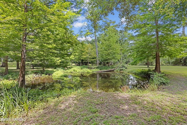 101 Farmington Dr, Lafayette, LA 70503 - photo 45