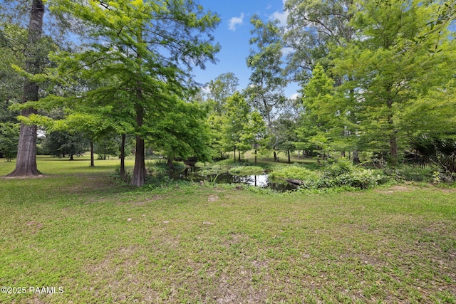 101 Farmington Dr, Lafayette, LA 70503 - photo 46