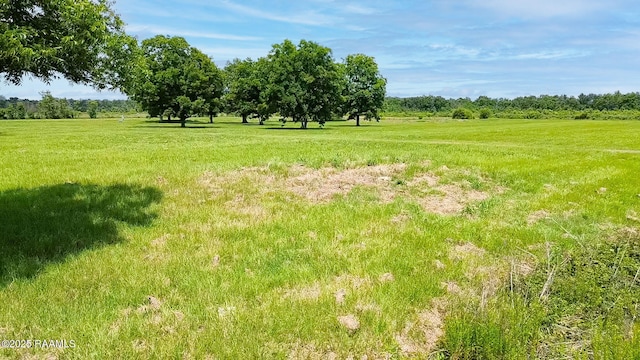 119 Pitre Ln, Ville Platte, LA 70586