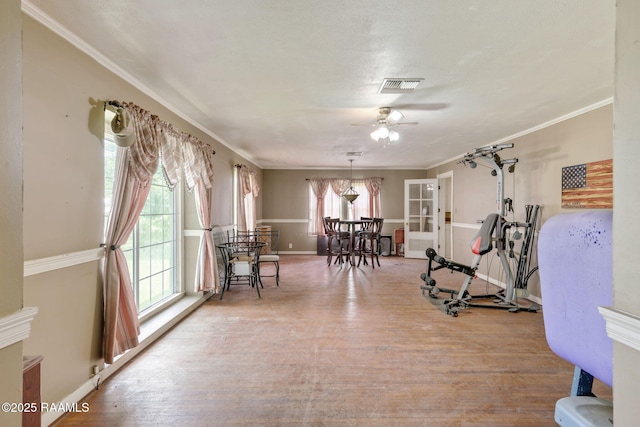 408 Section Ave, Rayne, LA 70578 - exercise room featuring ceiling fan, wood finished floors, and crown molding