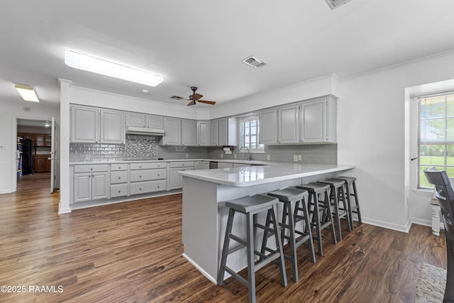 8001 Alpha Rd, Abbeville, LA 70510 - kitchen featuring a peninsula, gray cabinets, backsplash, dark wood-style flooring, and ornamental molding