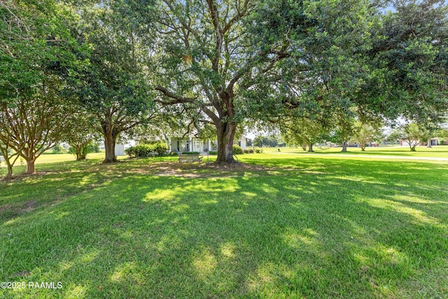 8001 Alpha Rd, Abbeville, LA 70510 - view of green lawn