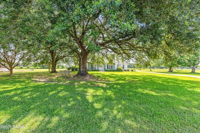 8001 Alpha Rd, Abbeville, LA 70510 - view of green lawn
