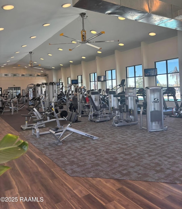201 Lake Crest Ln, Youngsville, LA 70592 - workout area featuring carpet, wood finished floors, and recessed lighting