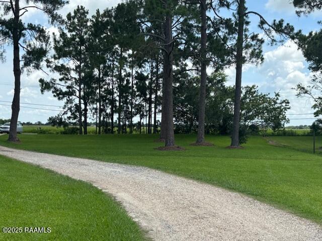 3139 Standard Mill Rd, Crowley, LA 70526 - photo 10