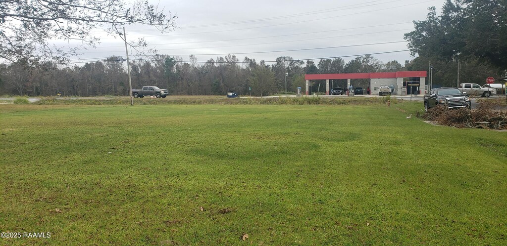 205 Perry Dr, Abbeville, LA 70510 - photo 3