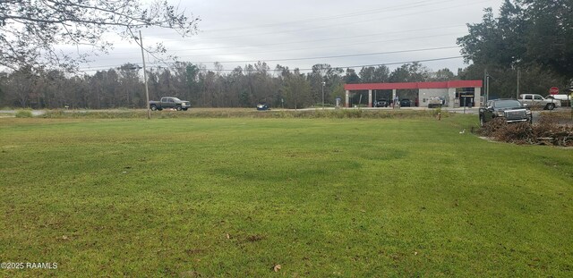 205 Perry Dr, Abbeville, LA 70510 - photo 3