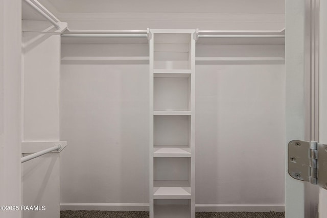 178 Bertrand Rd, Opelousas, LA 70570 - view of spacious closet