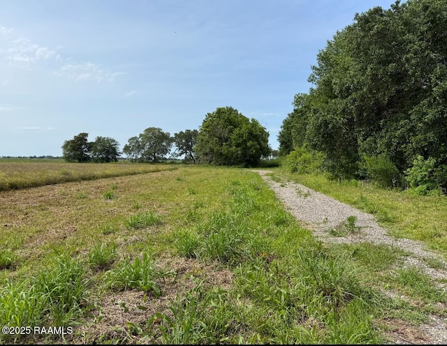 7040 Wilson Rd, Maurice, LA 70555