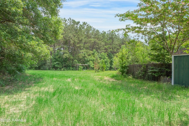 5811 Basile Eunice Hwy, Eunice, LA 70535 - view of yard featuring a forest view