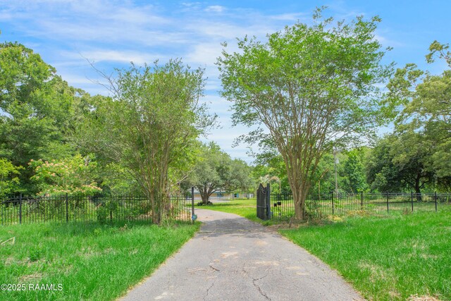 5811 Basile Eunice Hwy, Eunice, LA 70535 - view of asphalt driveway with a gated entry