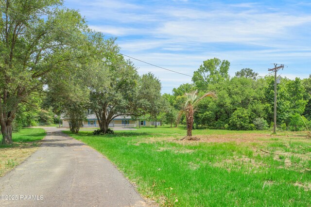 5811 Basile Eunice Hwy, Eunice, LA 70535 - view of road