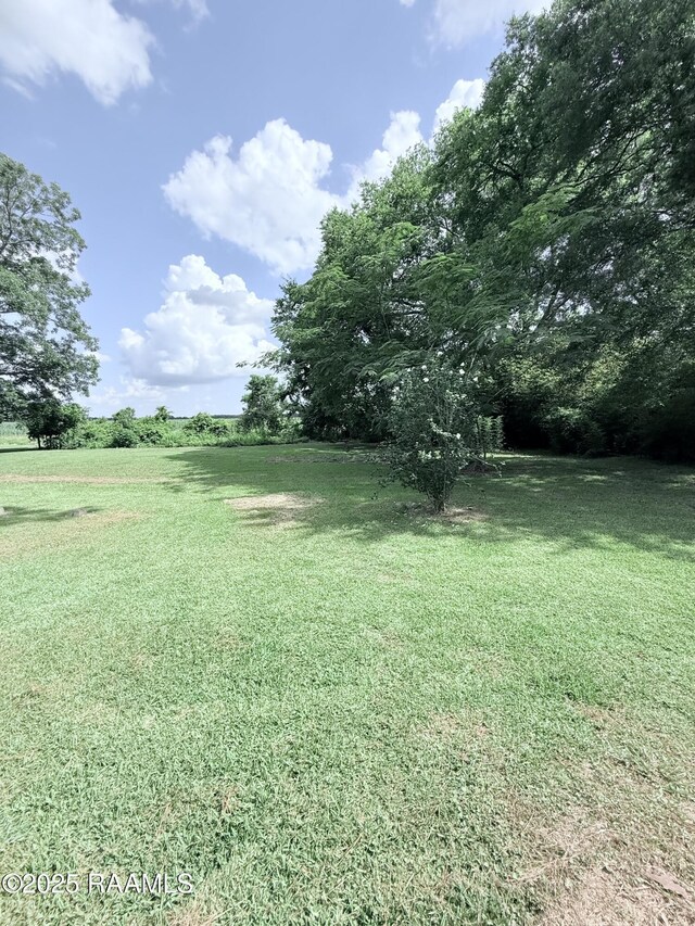 124 Keller St, Palmetto, LA 71358 - photo 2