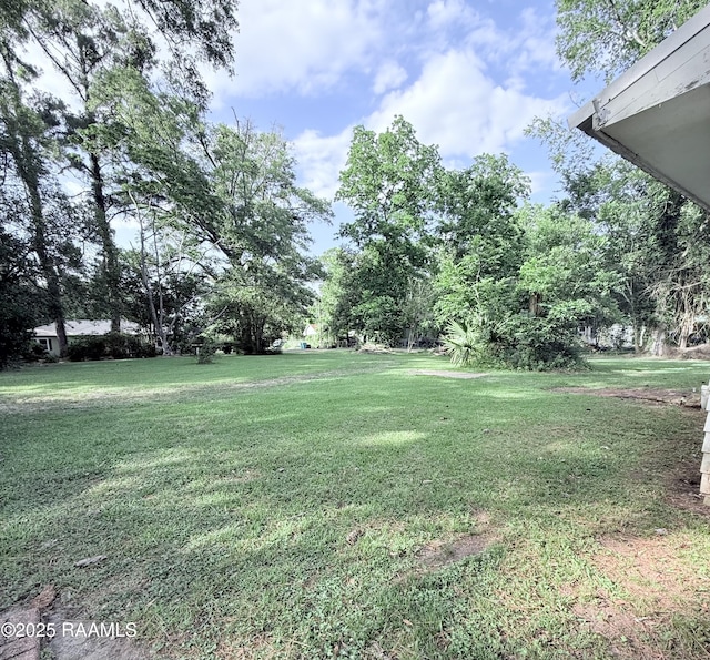 124 Keller St, Palmetto, LA 71358 - photo 12