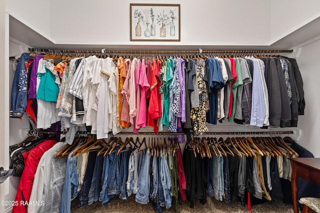 104 Baltimore Ln, Lafayette, LA 70506 - spacious closet featuring carpet floors