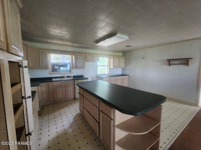37208 Monceaux Rd, Gueydan, LA 70542 - kitchen with open shelves, stainless steel dishwasher, dark countertops, a sink, and a center island