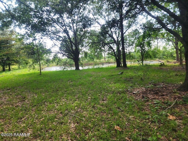 37208 Monceaux Rd, Gueydan, LA 70542 - view of yard featuring a water view