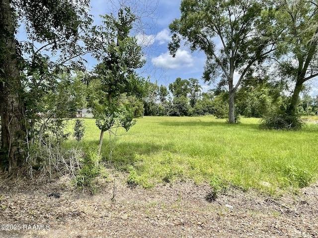 TBD Richard St, Sunset, LA 70584 - photo 4