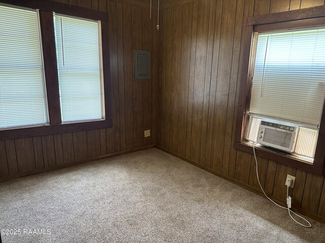 1002 Vidrine St, Opelousas, LA 70570 - spare room featuring carpet, wooden walls, cooling unit, baseboards, and plenty of natural light