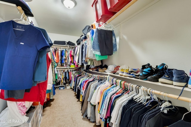 206 Agrarian Ave, Rayne, LA 70578 - spacious closet featuring carpet floors