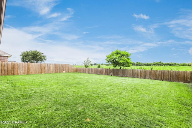 206 Agrarian Ave, Rayne, LA 70578 - view of yard