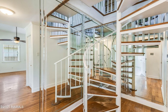 315 Tissington St, Lafayette, LA 70501 - stairs featuring baseboards, wood finished floors, and a ceiling fan