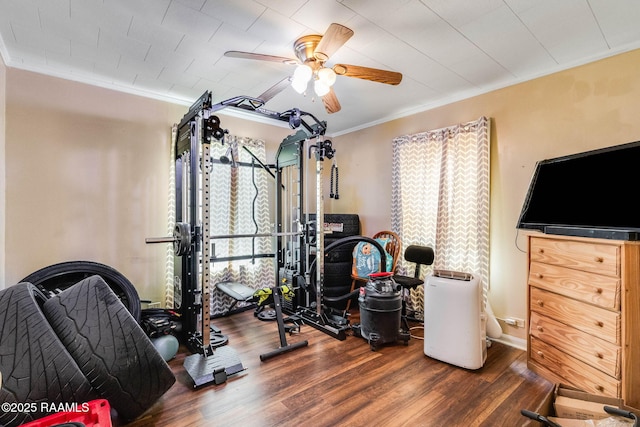 1521 Saint Jude Ave, New Iberia, LA 70560 - workout room with wood finished floors, crown molding, and ceiling fan