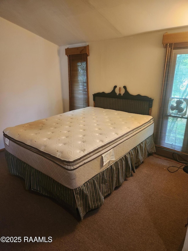 101 Hidden Hills Lake Rd, Arnaudville, LA 70512 - view of carpeted bedroom