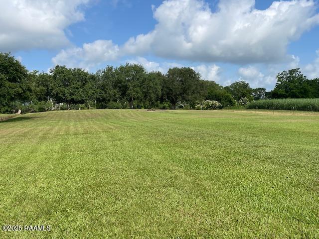 14902 Emily Rd, Erath, LA 70533